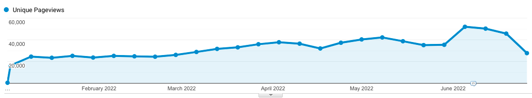 Cognism Unique Page Views